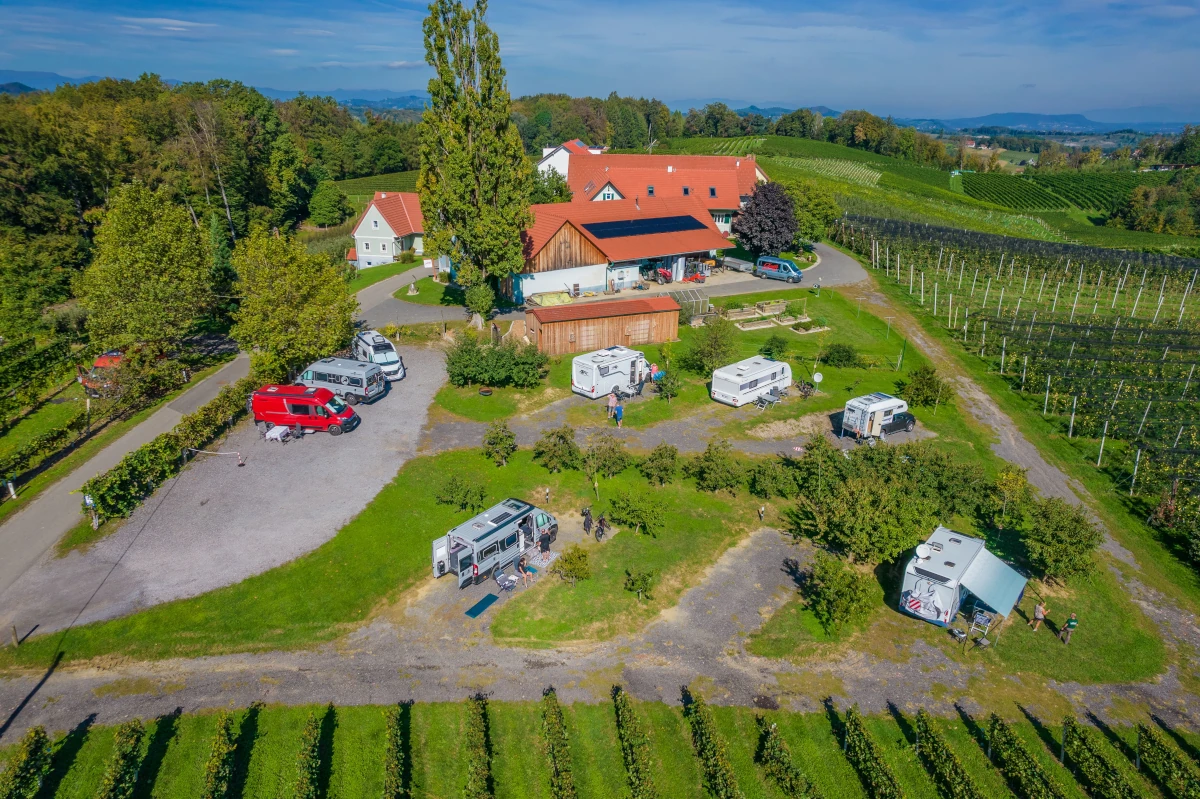 Luftaufnahme des Campingplatzes Obstgut Ledinegg: Mehrere Wohnmobile und Wohnwagen stehen auf grünen Wiesenstellplätzen direkt neben dem Bauernhof und den Weinreben in der Südsteiermark.
