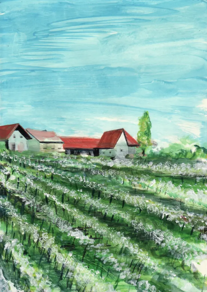 Künstlerisches Gemälde des Obstgut Ledinegg in Hanglage, das den Hof umgeben von weiß blühenden Obstgärten unter blauem Himmel zeigt.