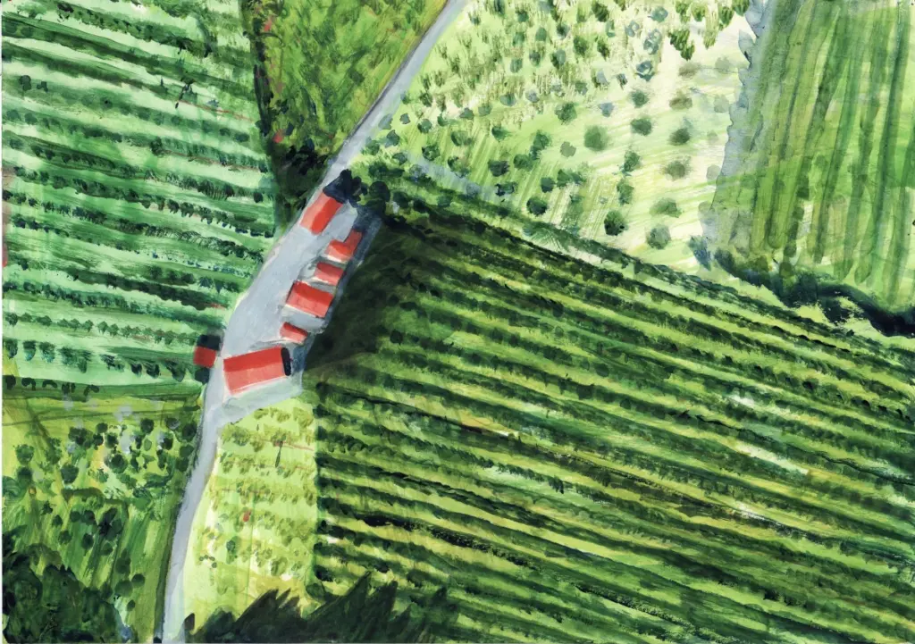 Künstlerische Illustration des Obstgut Ledinegg aus der Vogelperspektive, die das Bauernhaus mit rotem Dach inmitten von grünen Obstgärten und Weinreben in der Südsteiermark zeigt.