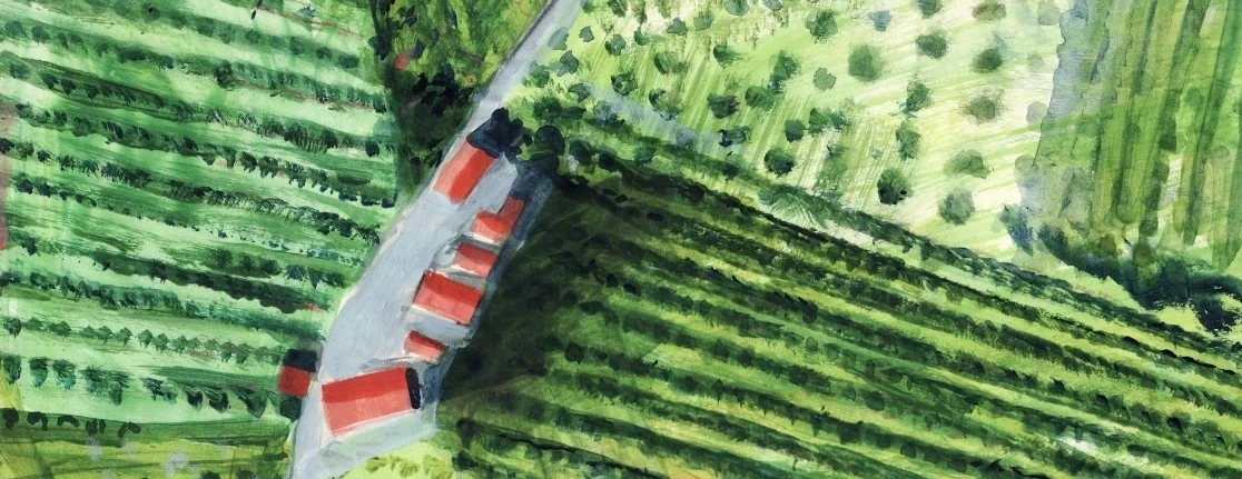 Künstlerische Illustration des Obstgut Ledinegg aus der Vogelperspektive, die das Bauernhaus mit rotem Dach inmitten von grünen Obstgärten und Weinreben in der Südsteiermark zeigt.