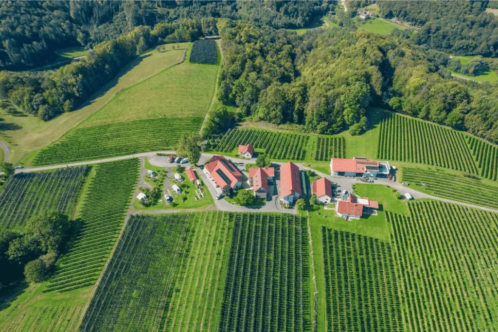 Drohnenbild aus der Vogelperspektive: Übersicht über die Obstgut Ledinegg in der Südsteiermark, umringt von geometrisch angelegten Obstplantagen und Weinreben.